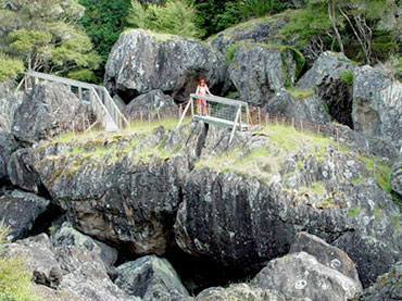 Wairere Boulders Nature Reserve